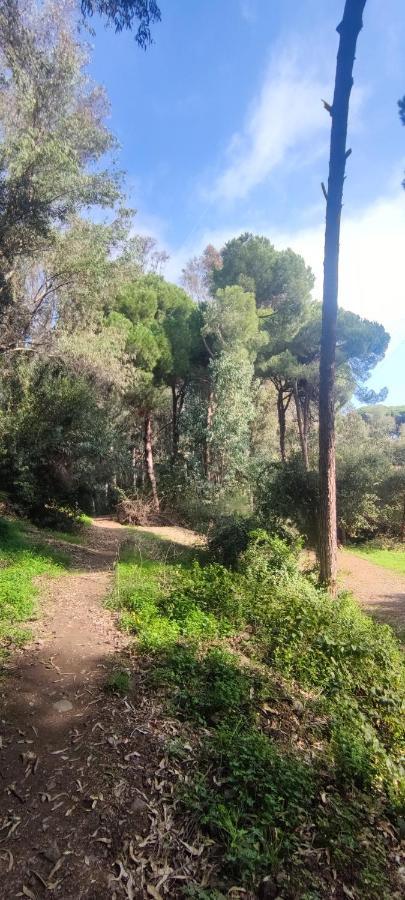 Beach Forest Paradise Marbella Zewnętrze zdjęcie