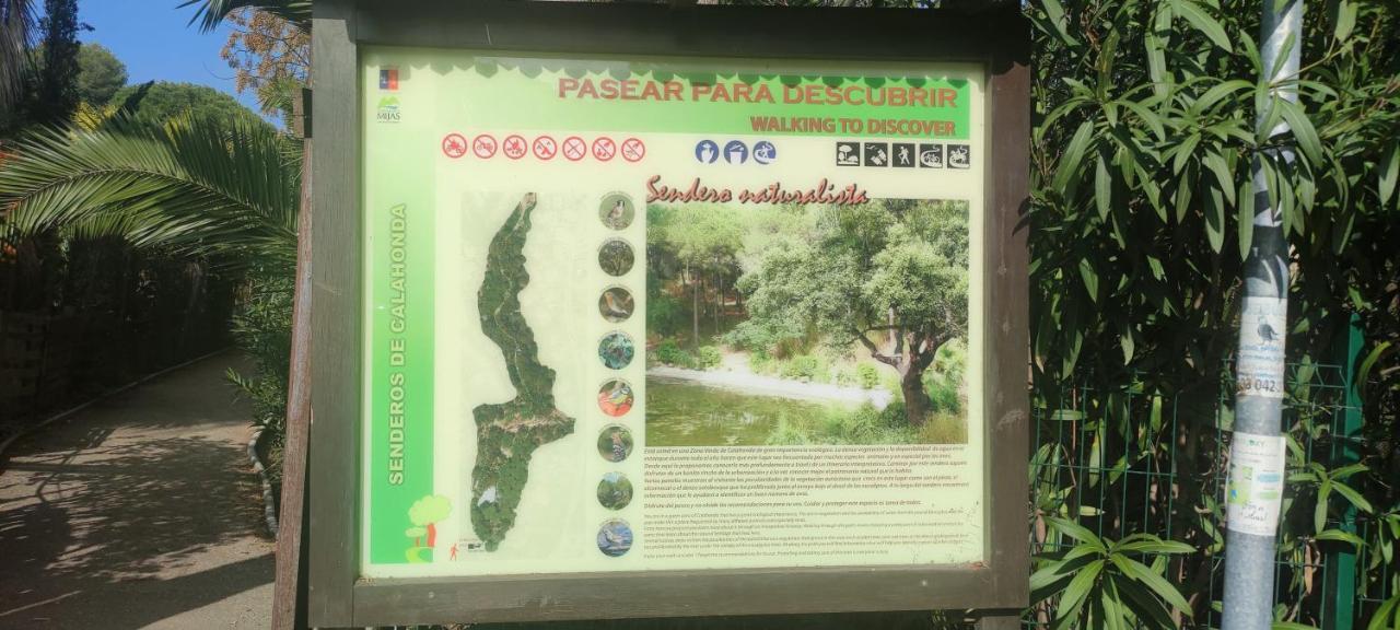 Beach Forest Paradise Marbella Zewnętrze zdjęcie