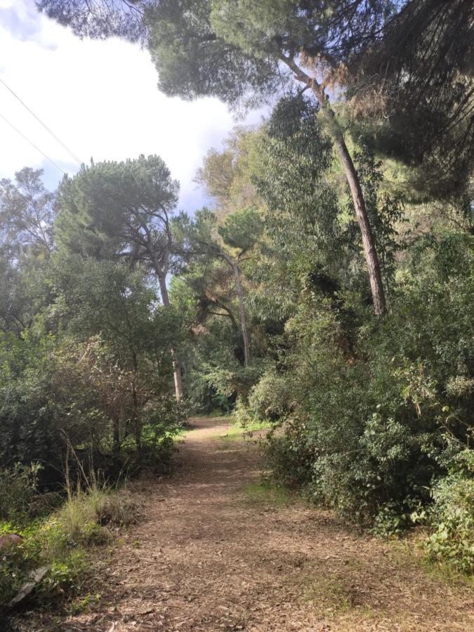 Beach Forest Paradise Marbella Zewnętrze zdjęcie